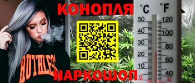 эйфоретик Будённовск