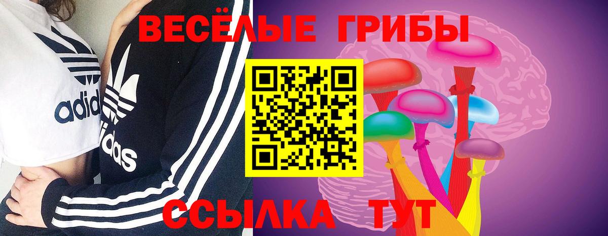 Псилоцибиновые грибы мухоморы  Вход с VPN  Тара 